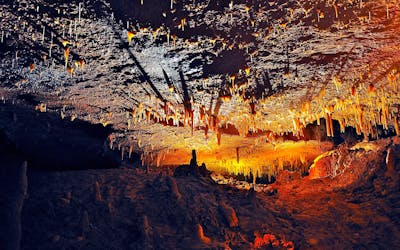Visite d’une demi-journée de la grotte des jambons de Majorque depuis la zone nord